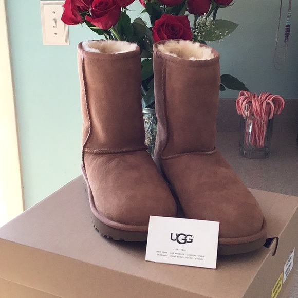 UGG Shoes - Uggs